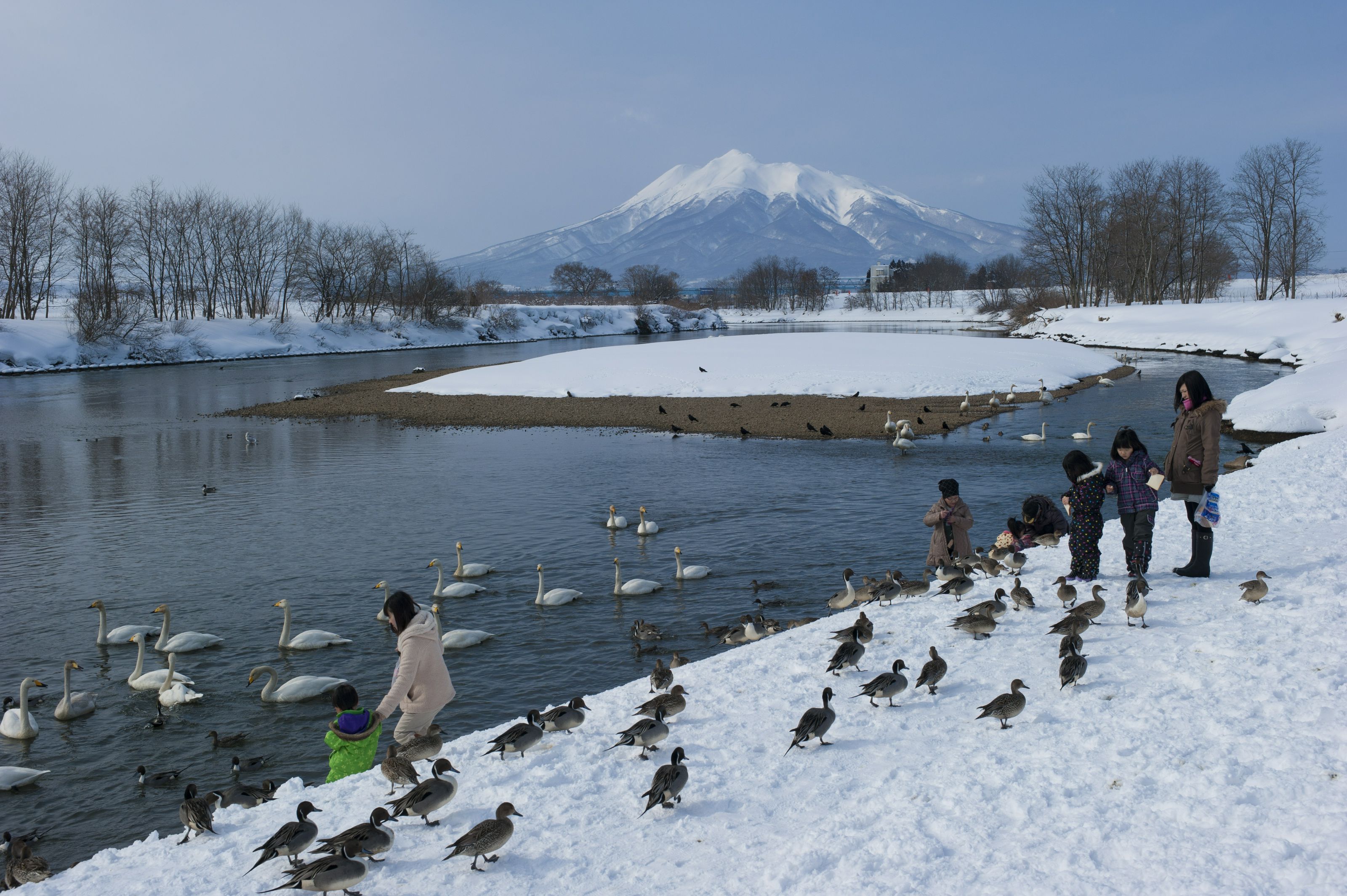 藤崎町