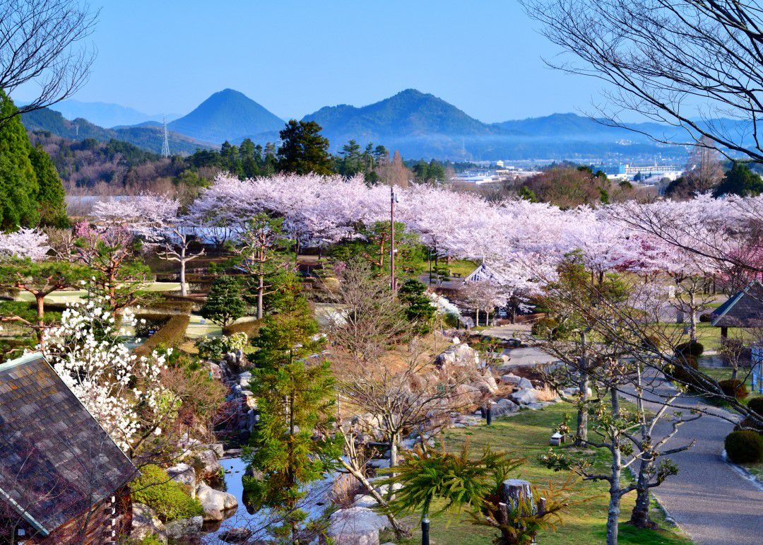 湖南市