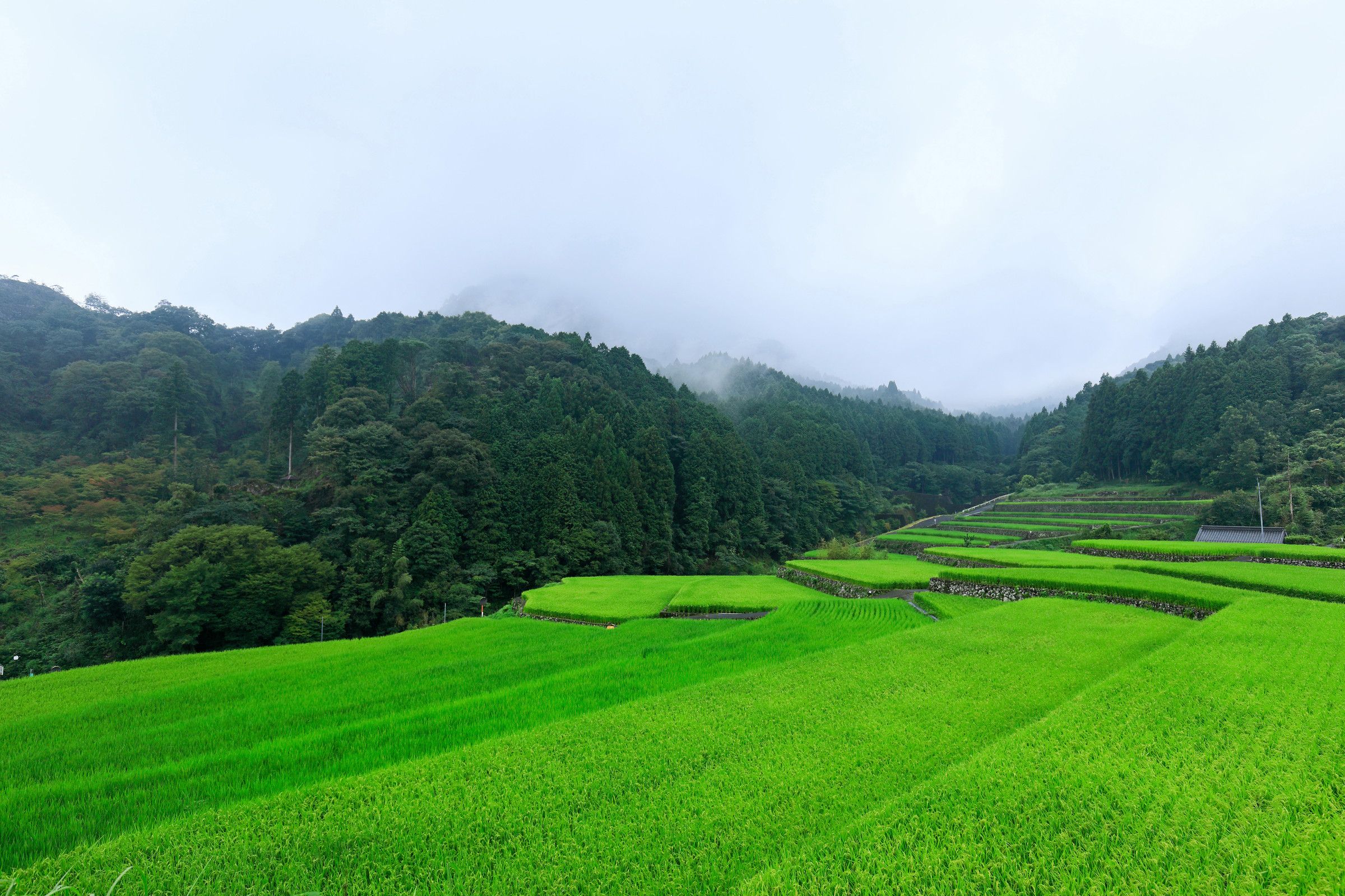 東峰村の基本情報 ワープシティ｜地方移住を考える人のお役立ち情報サービス