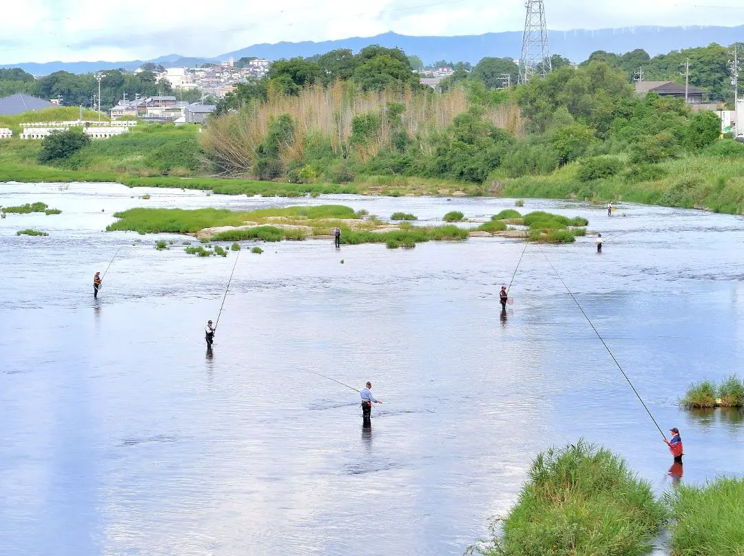 鮎釣り(名張川)