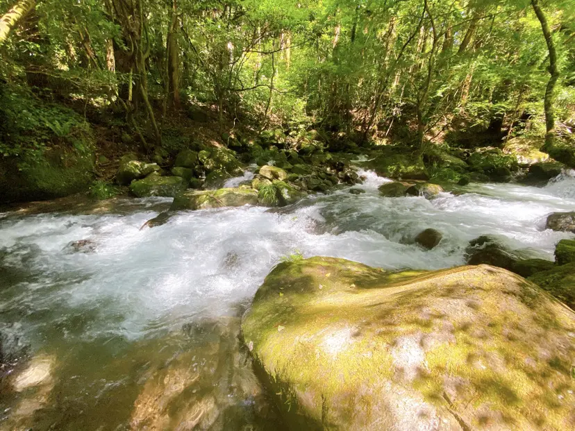 熊本県御船町（吉無田水源）