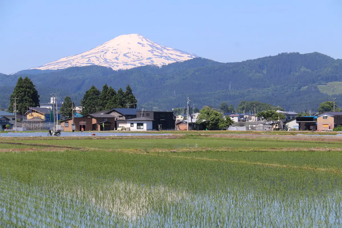 鳥海山：
迫力の鳥海山を望むことができます
