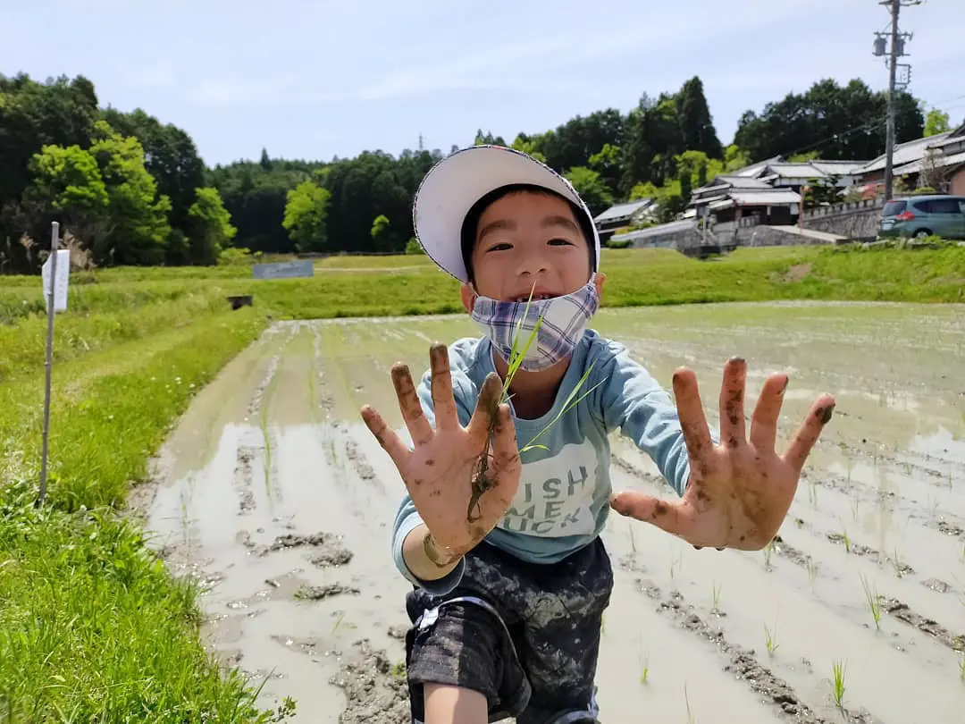 田植え体験(薦原)