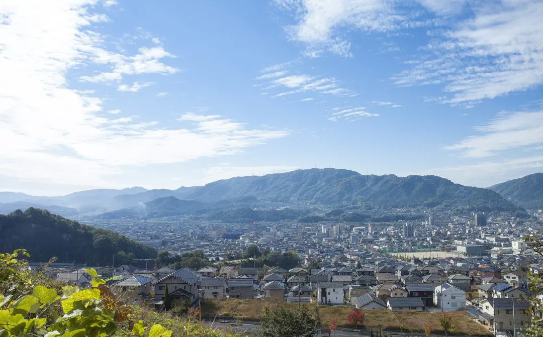 桜が丘からの景色