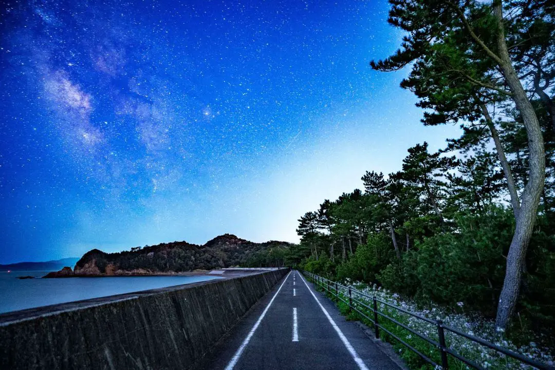 サイクリングロード