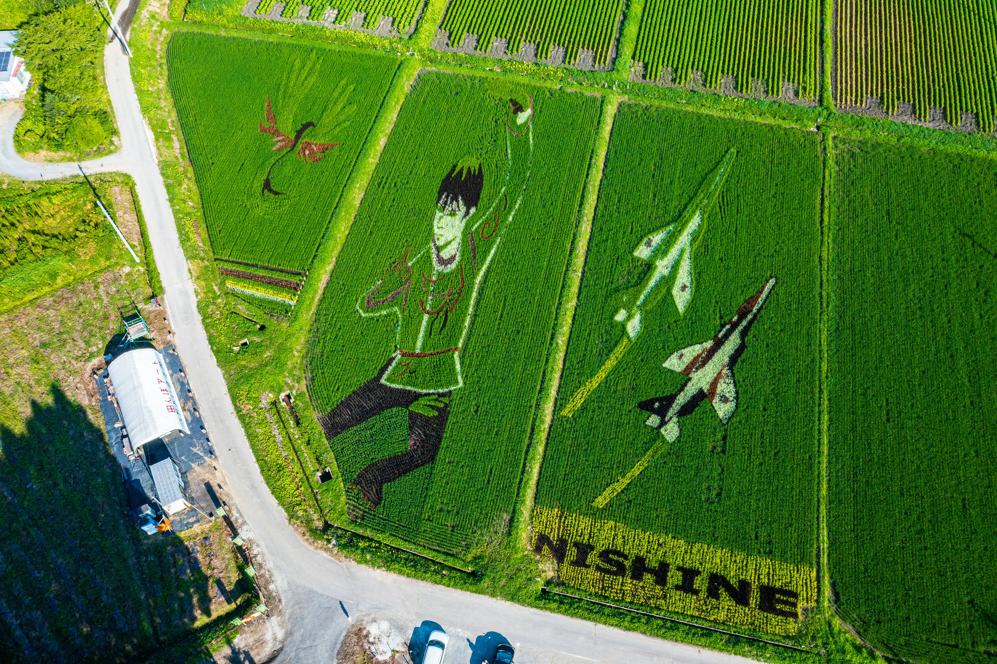 2021年西根田んぼアート