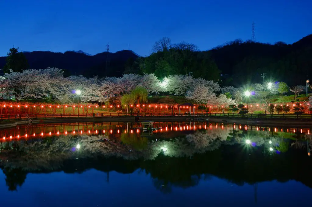 府中公園 桜ライトアップ