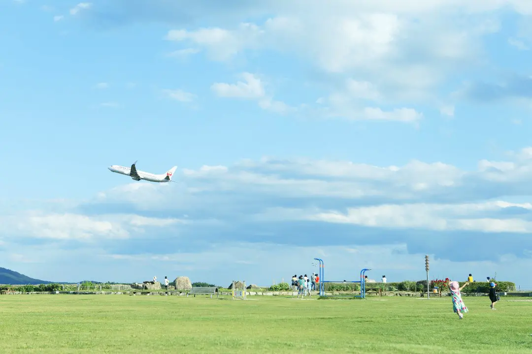 飛行機の見える公園