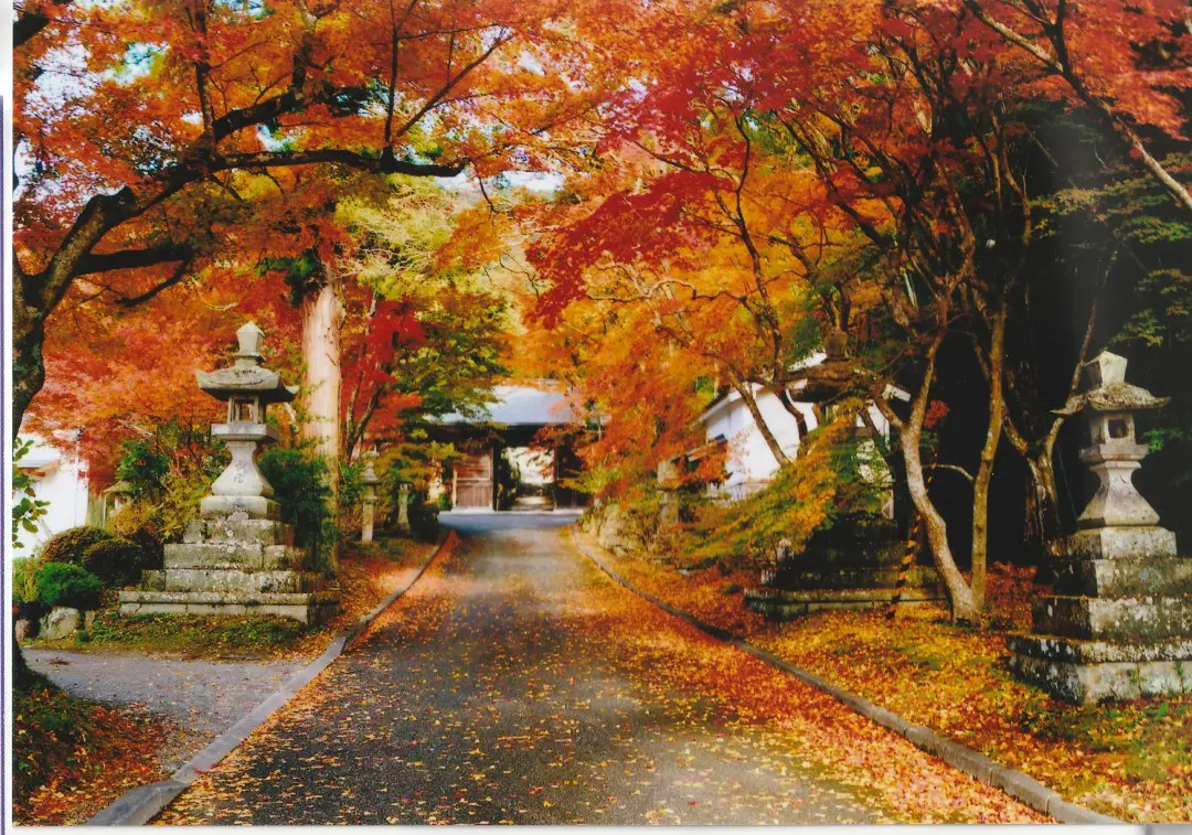 林田八幡神社参道