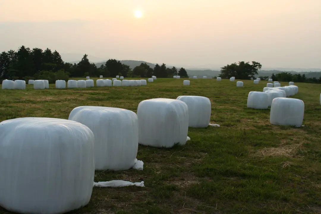 ロールベールサイレージ