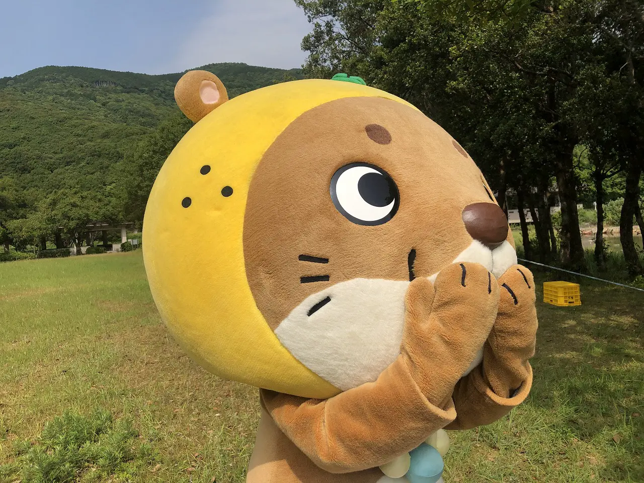 愛南町ご当地キャラクター「なーしくん」