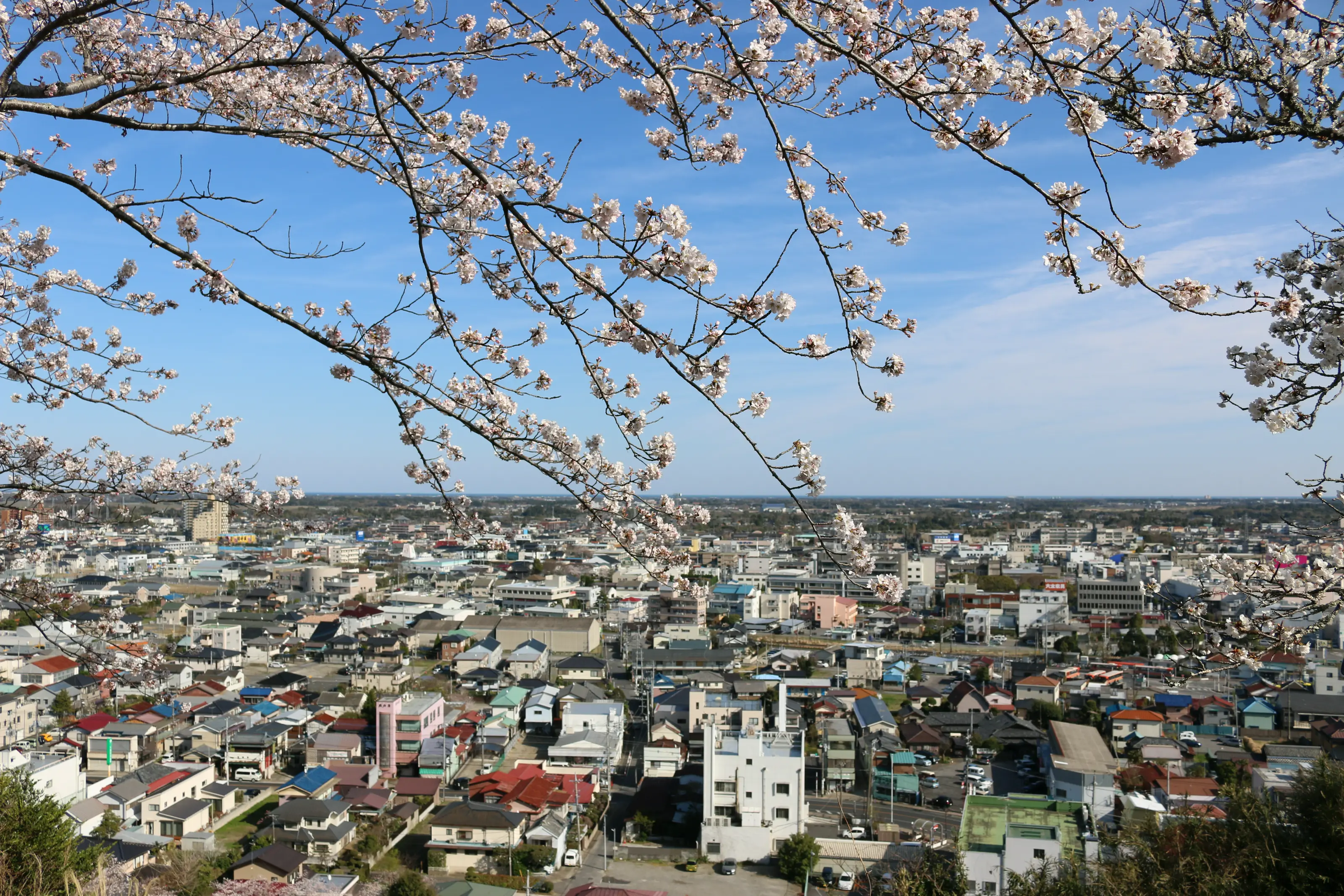 山王台公園からの眺望
