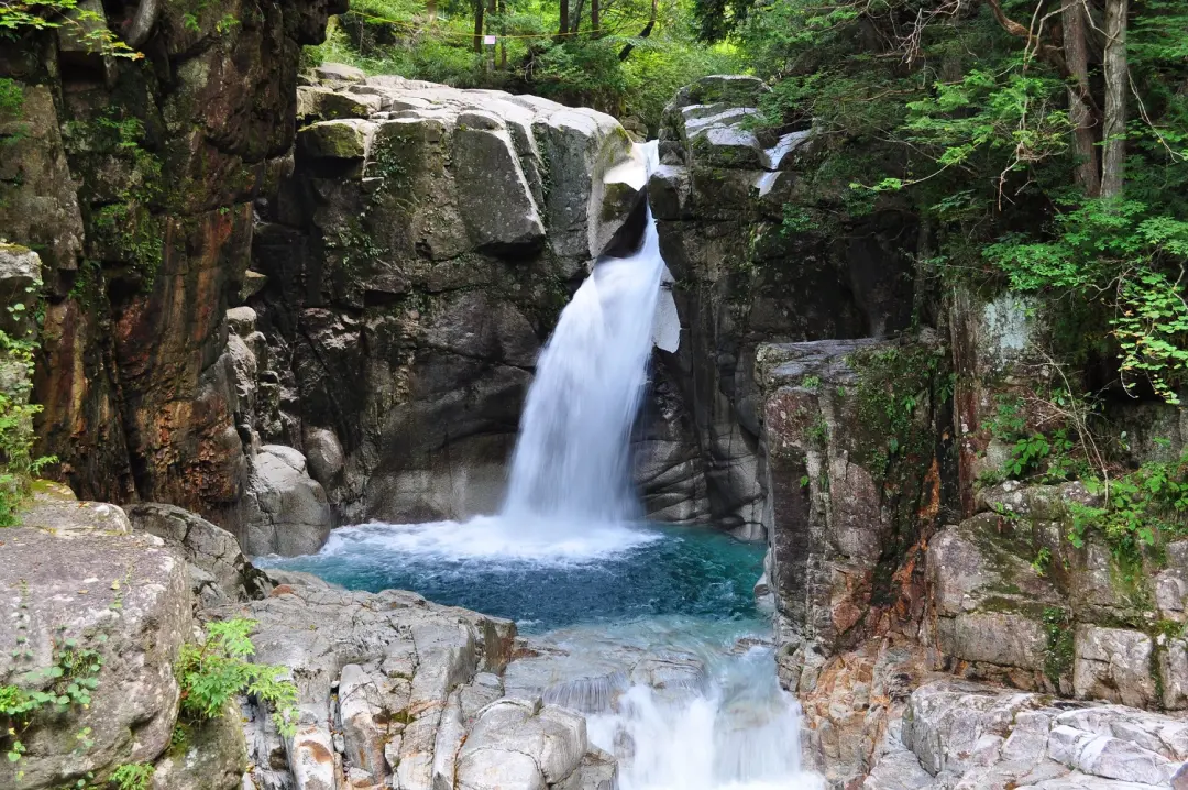 川上地区_竜神の森