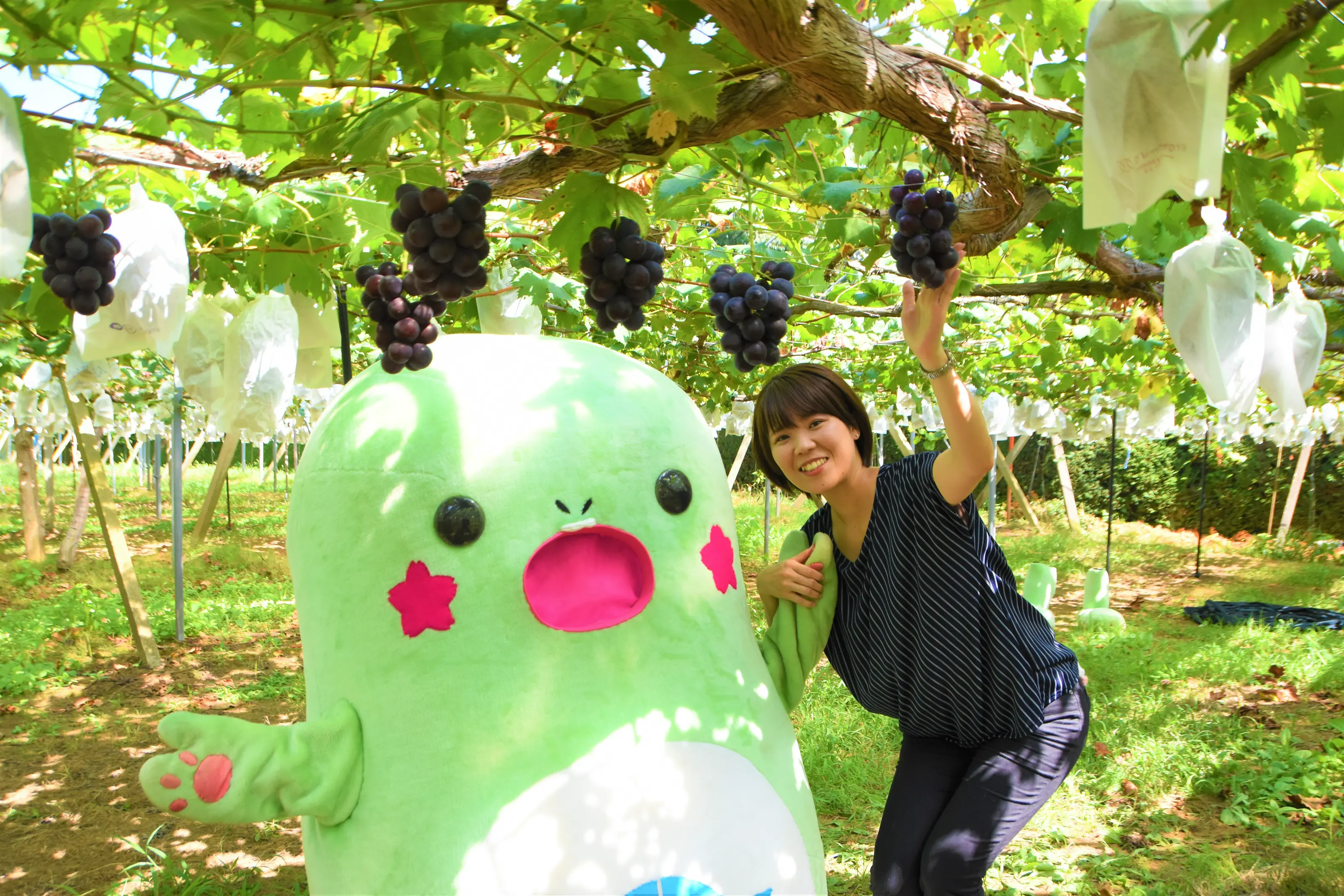 東金ぶどう郷とマスコットキャラクターとっちー