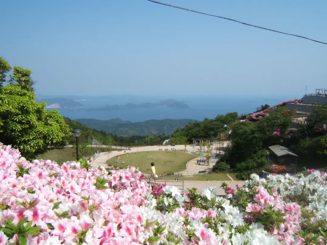 大平山山頂公園