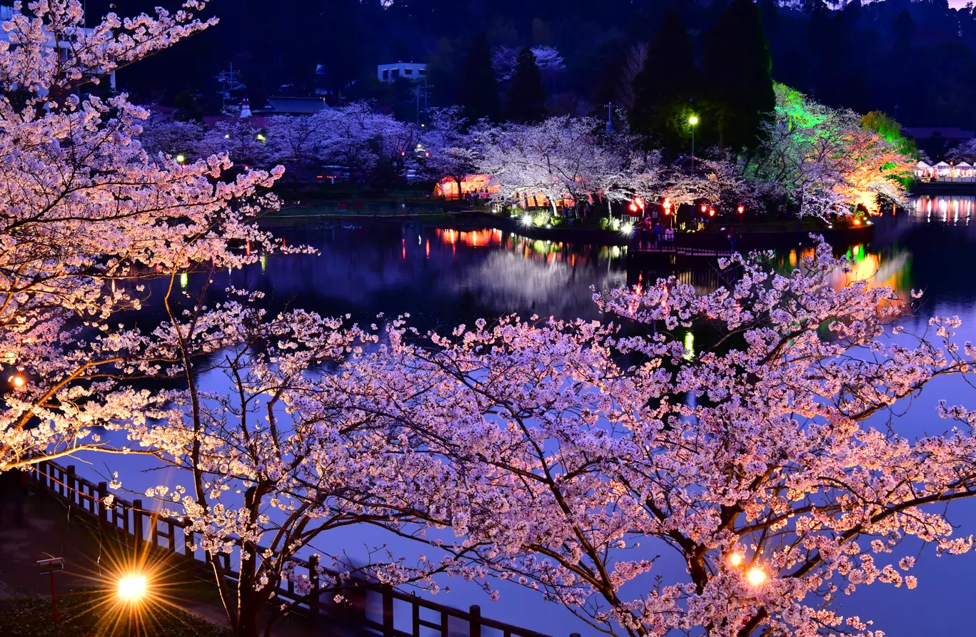 さくらまつりの夜桜
