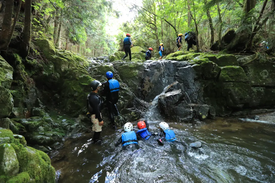 シャワークライミング