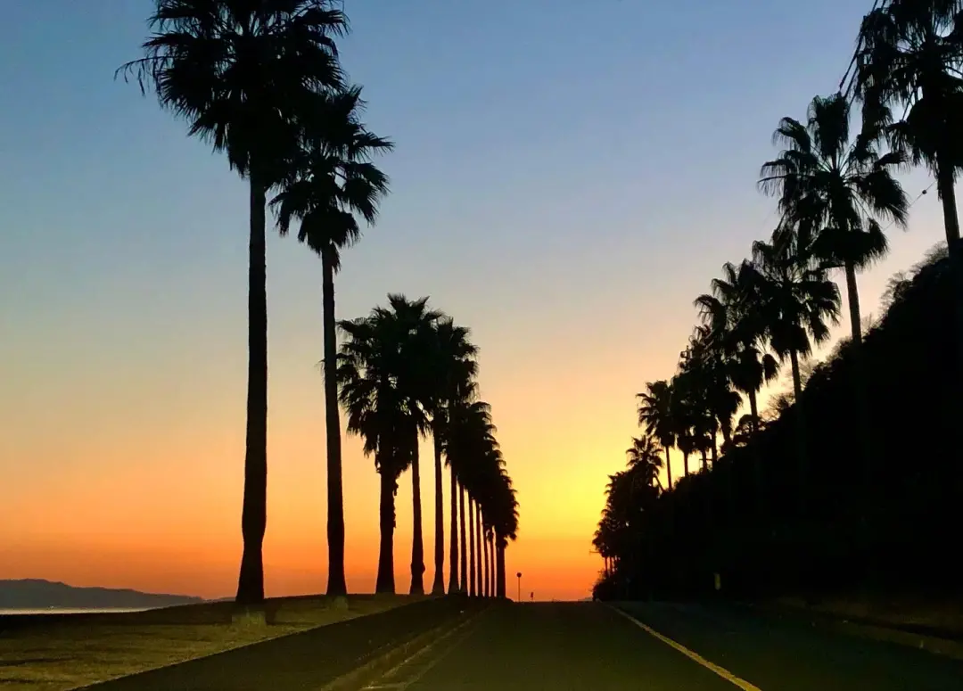 西浦シーサイドロード（ガマフォルニア）