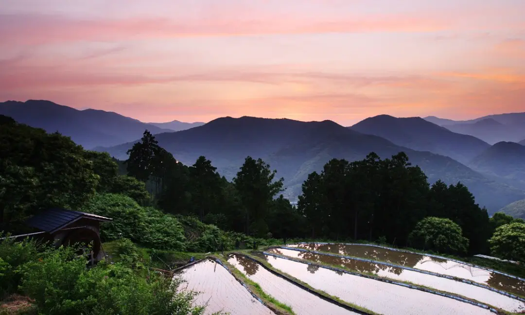 高原（中辺路）