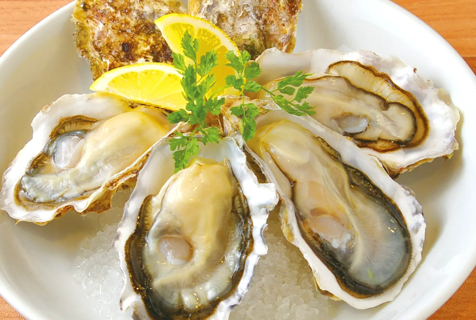 oyster