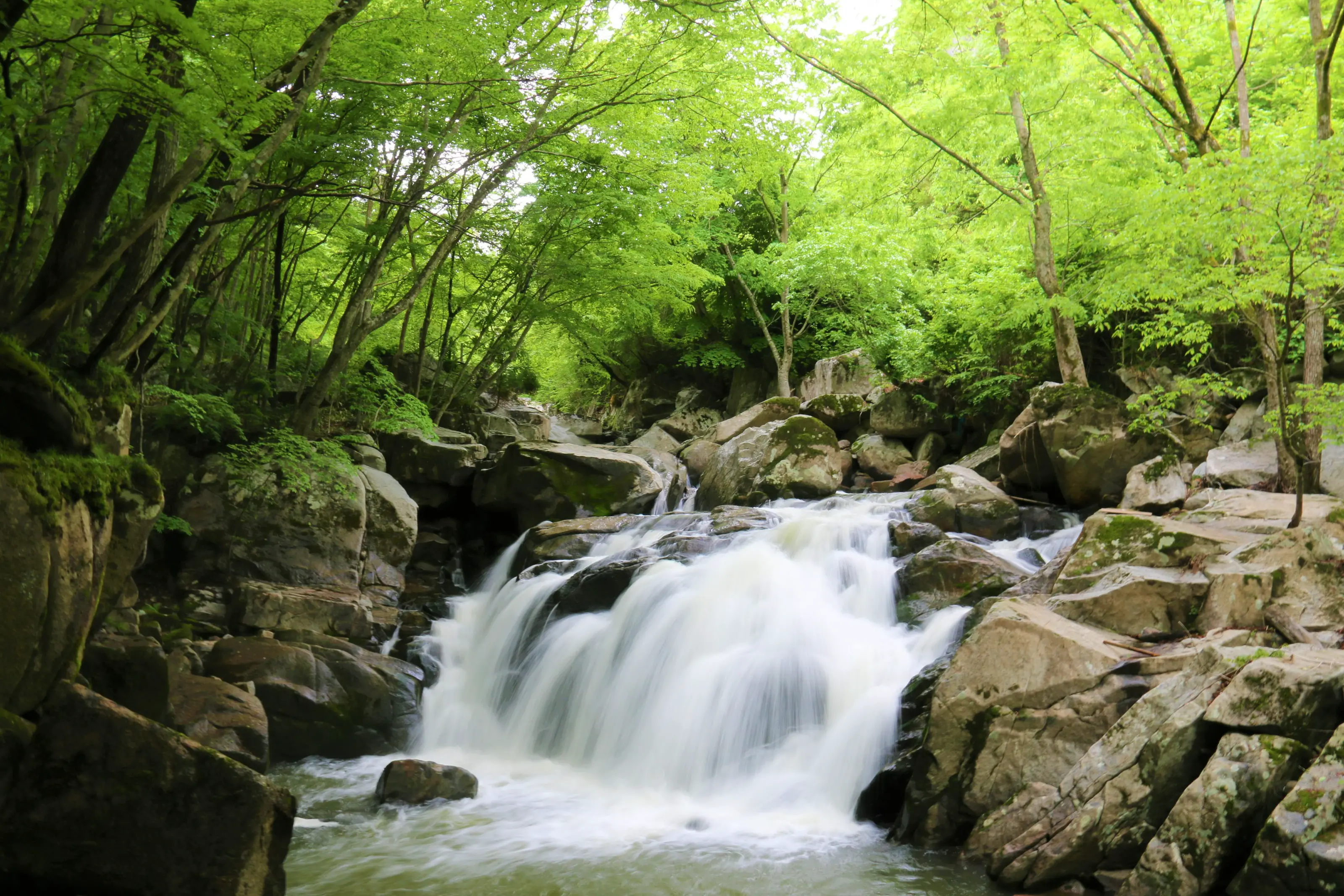 平田村　山鶏滝
