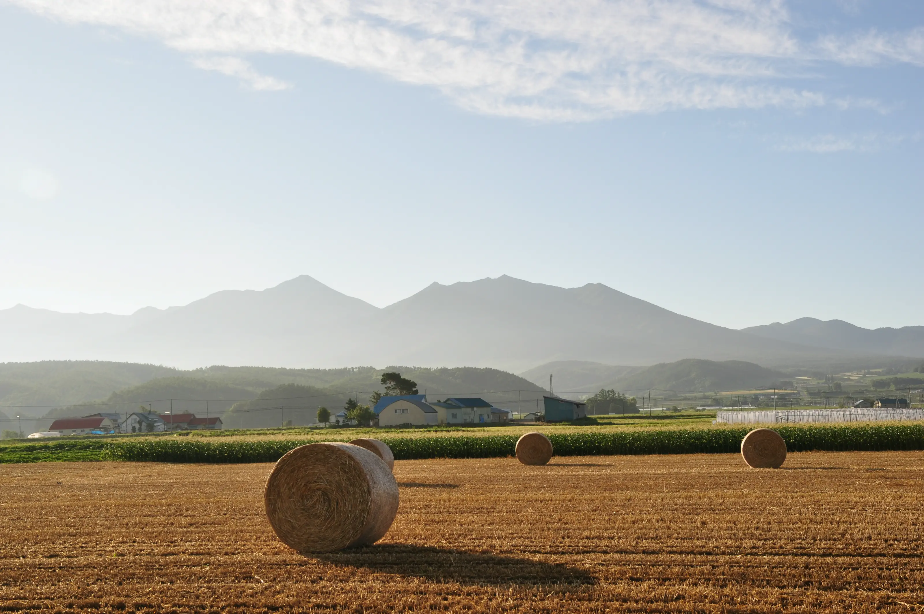 麦稈ロール・とうもろこし畑・十勝岳連峰