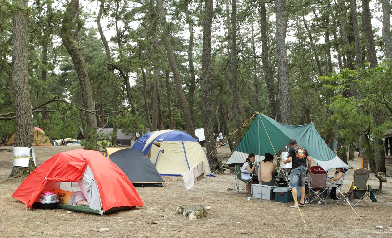 園家山キャンプ場