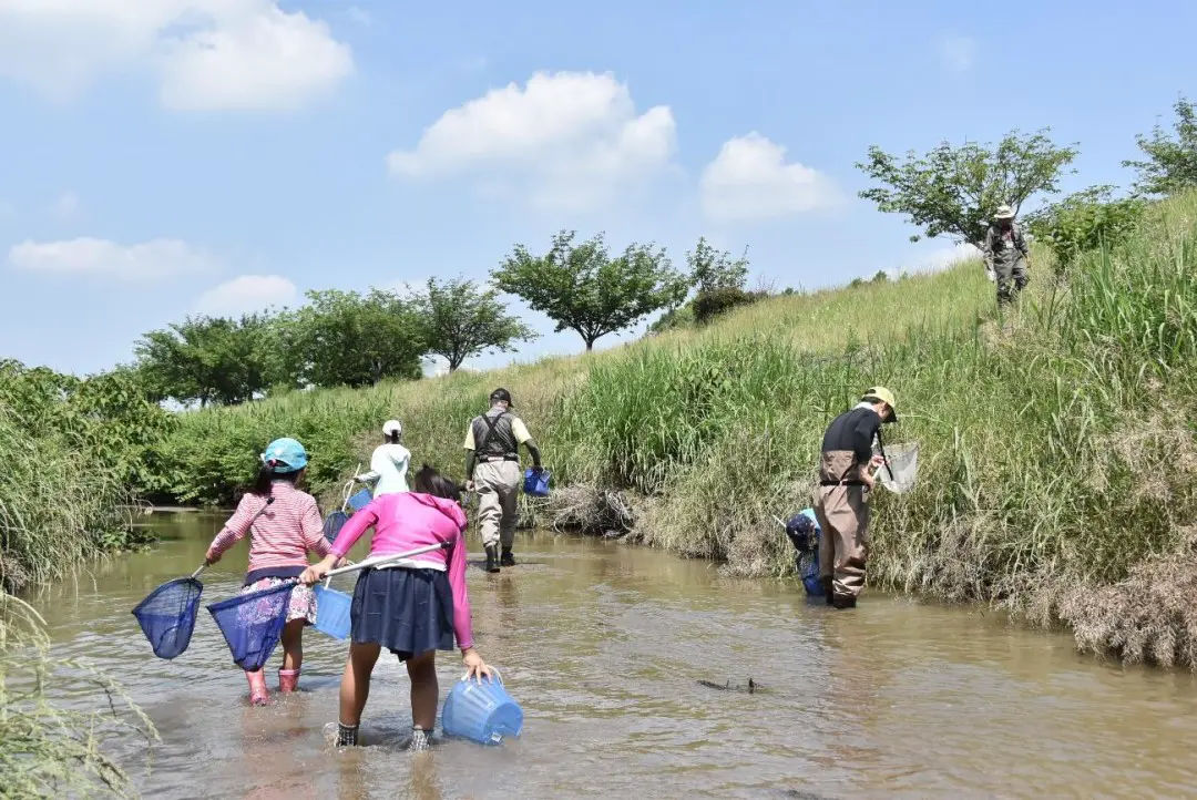 明徳寺川自然観察会