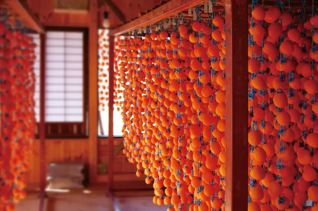 特産品市田柿_柿すだれ