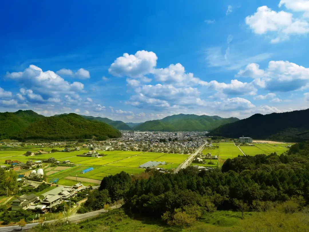 中心部と田園地帯(縮小)