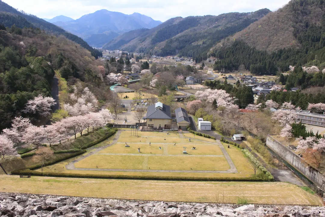 芸術の森桜の風景