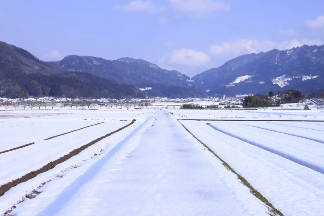 雪の田園風景