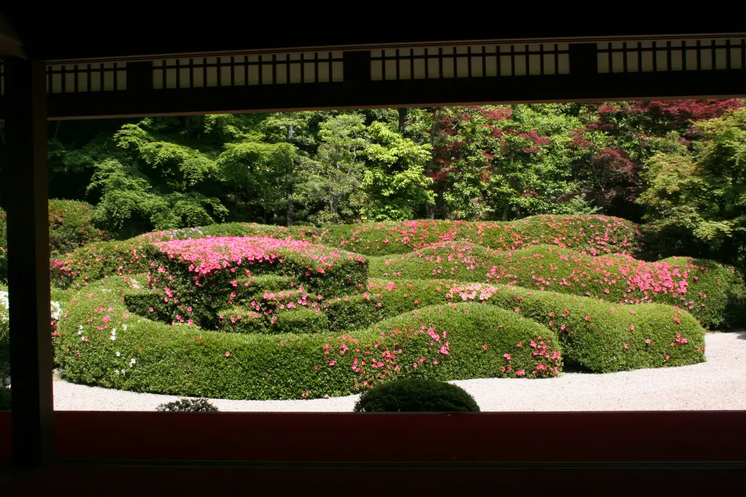 (水口)大池寺蓬莱庭園