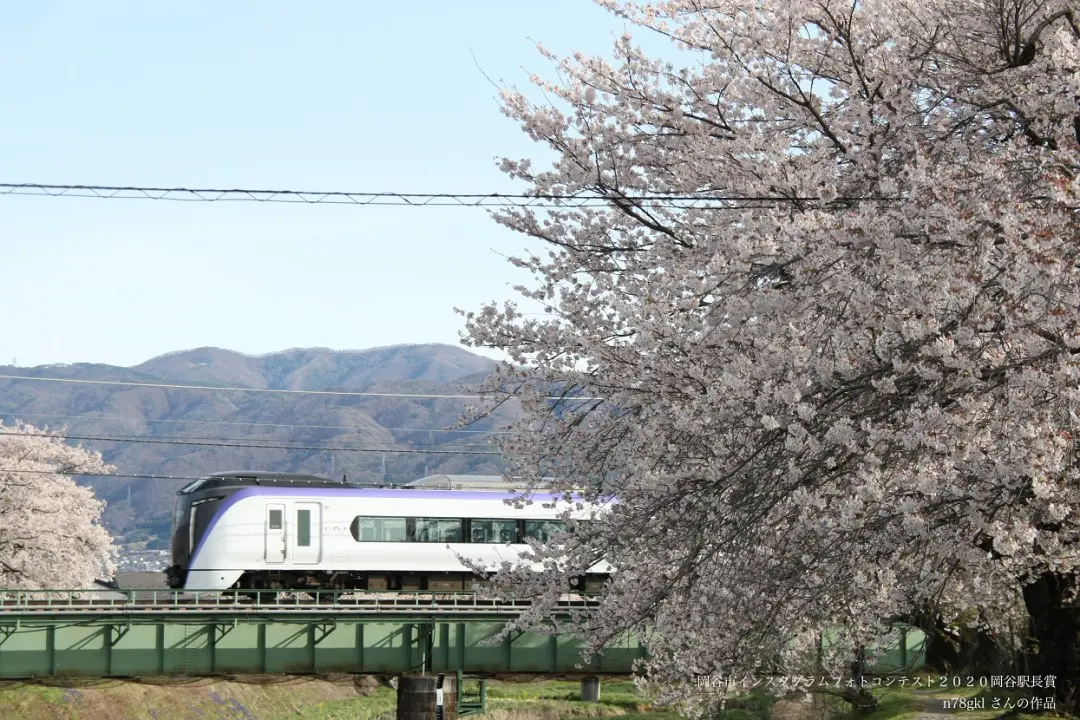 桜と特急あずさ
