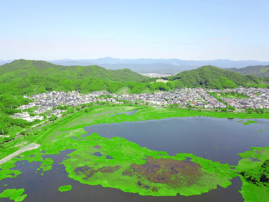 南国市十市エリア