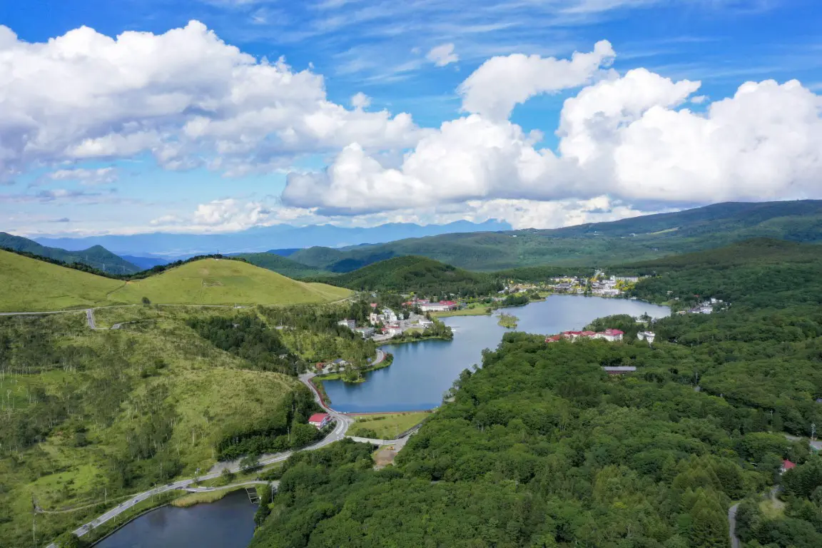 空からの白樺湖