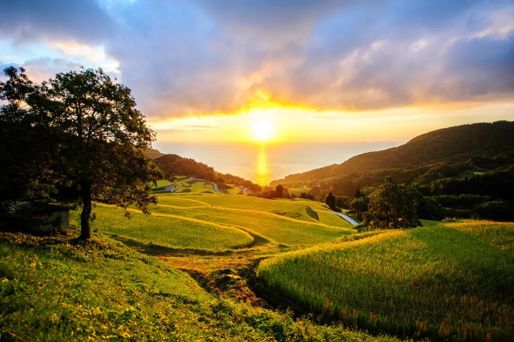 棚田から見える朝陽