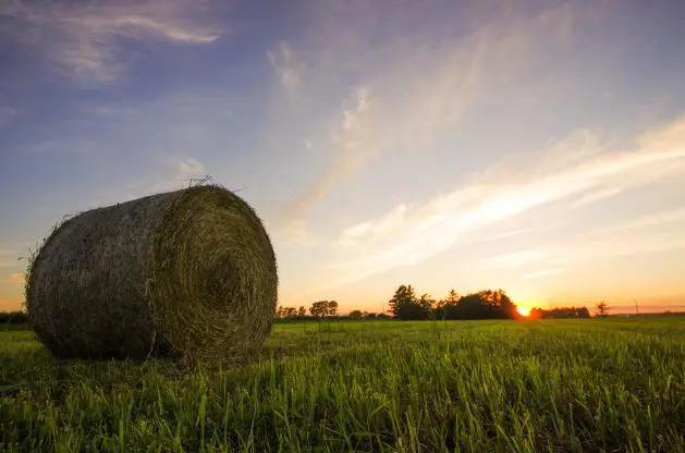 牧草ロールと夕やけ