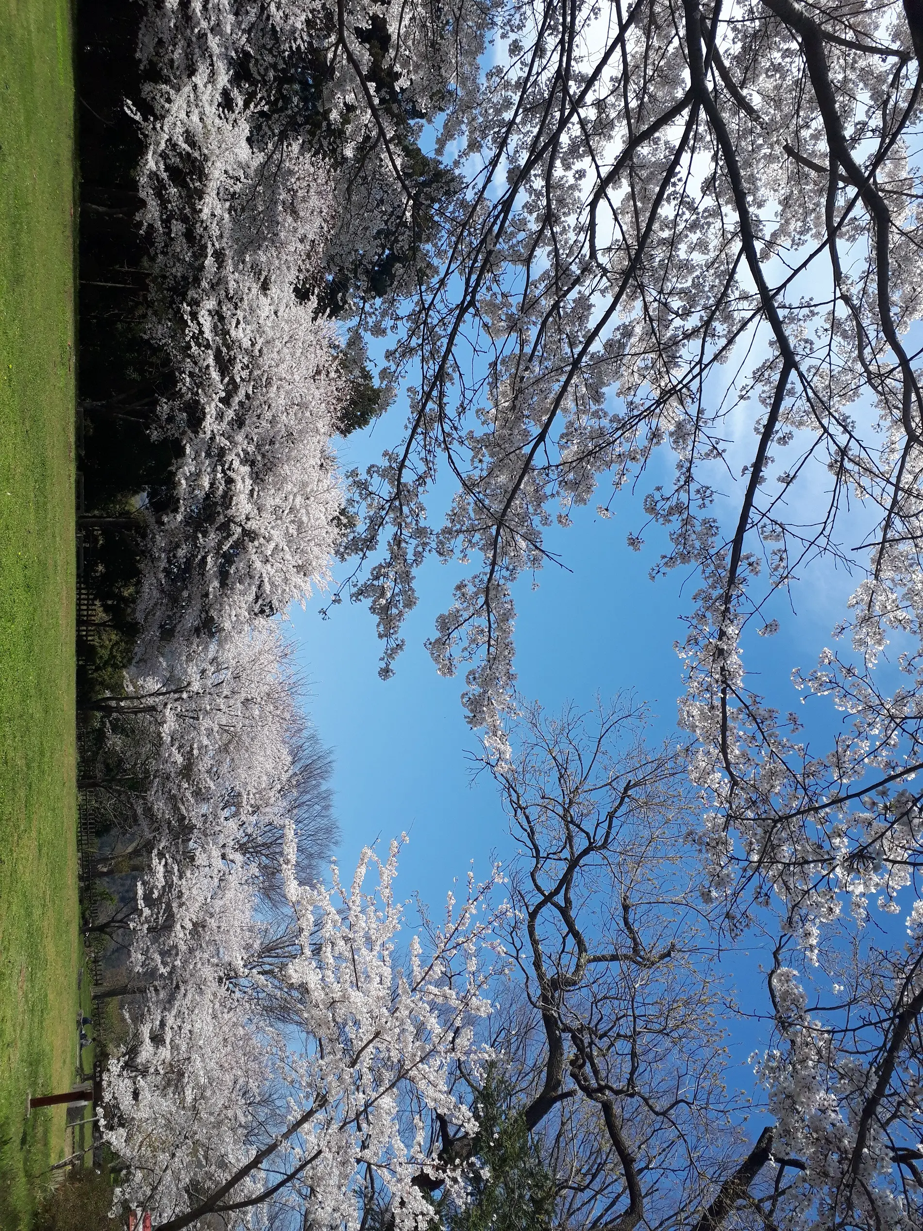 川村城跡（県内唯一の戦国時代山城で県指定史跡）