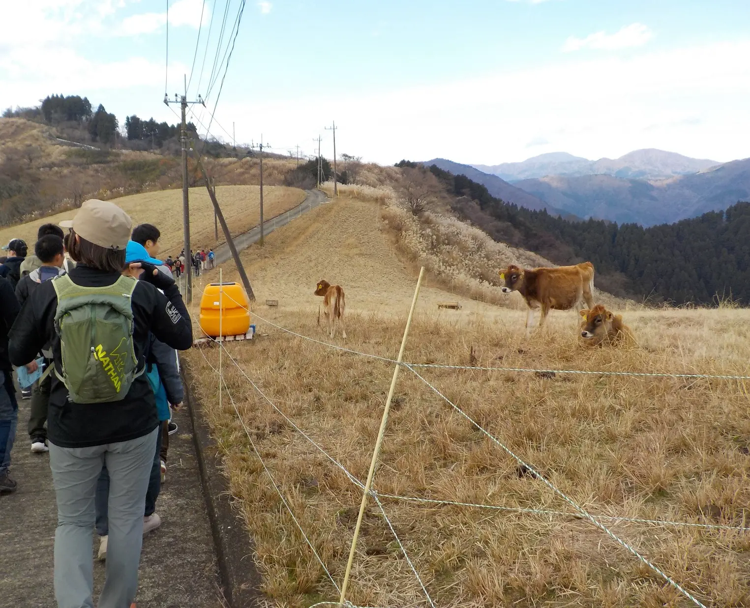 洒水の滝（日本の滝百選）