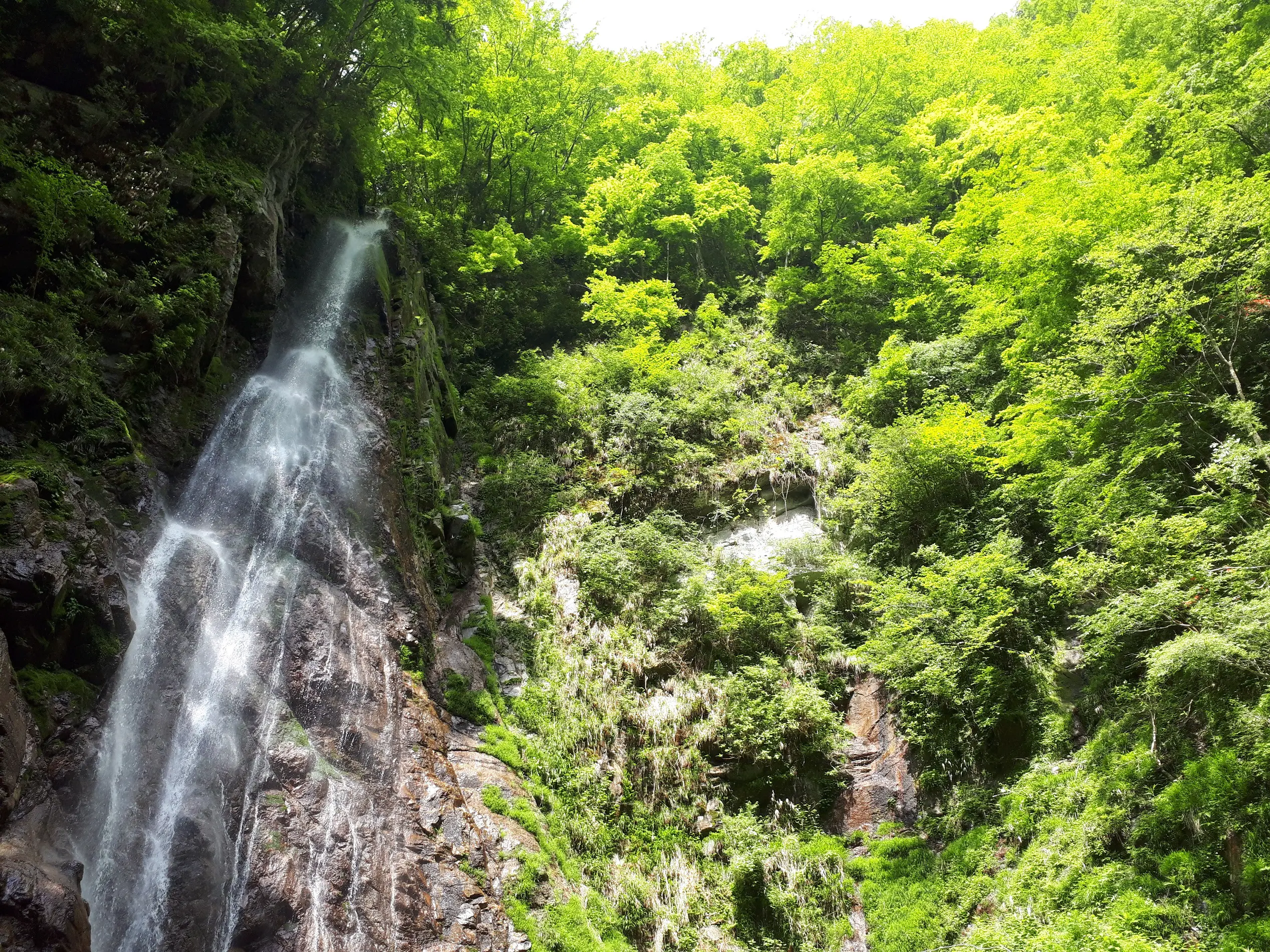 西丹沢西沢 本棚の滝