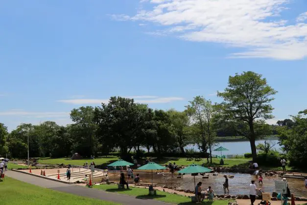 夏のじゃぶじゃぶ池