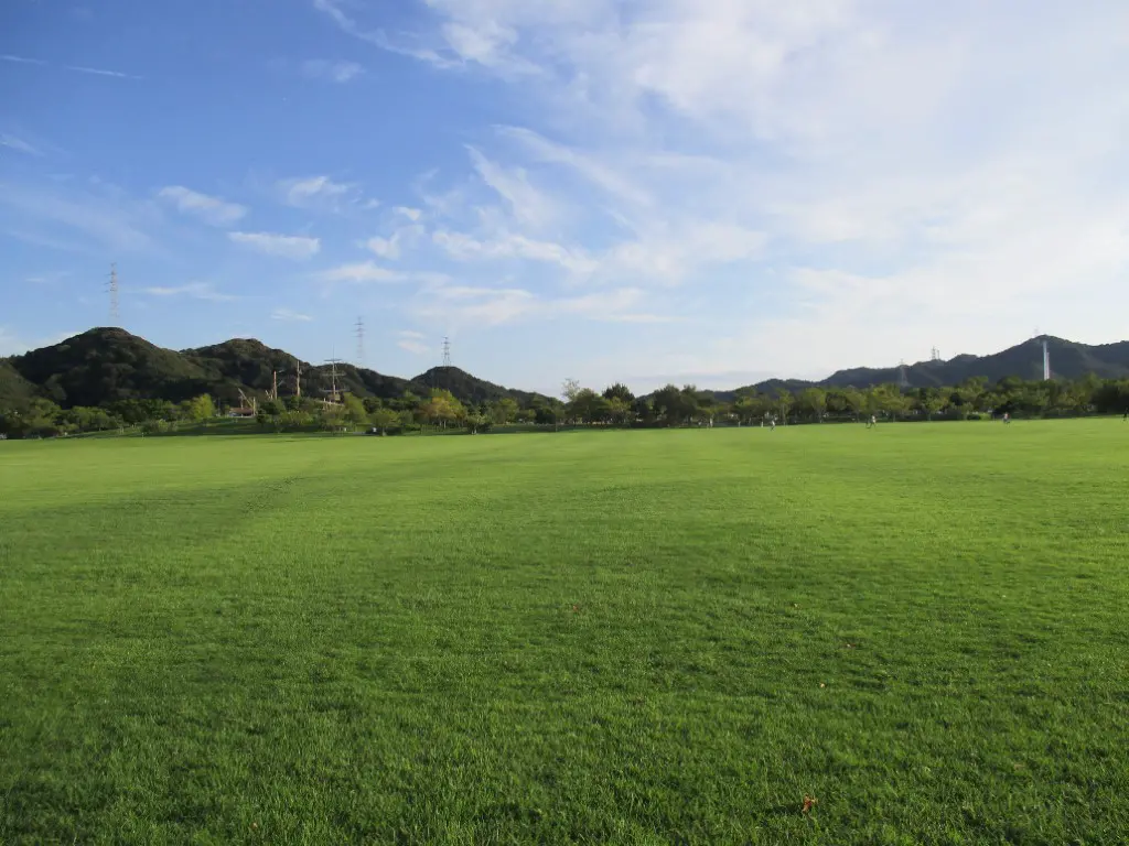 ウチノ海総合公園（多目的芝生広場）
