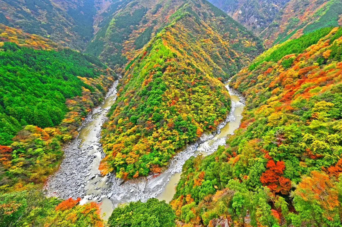 秋のひのじ渓谷