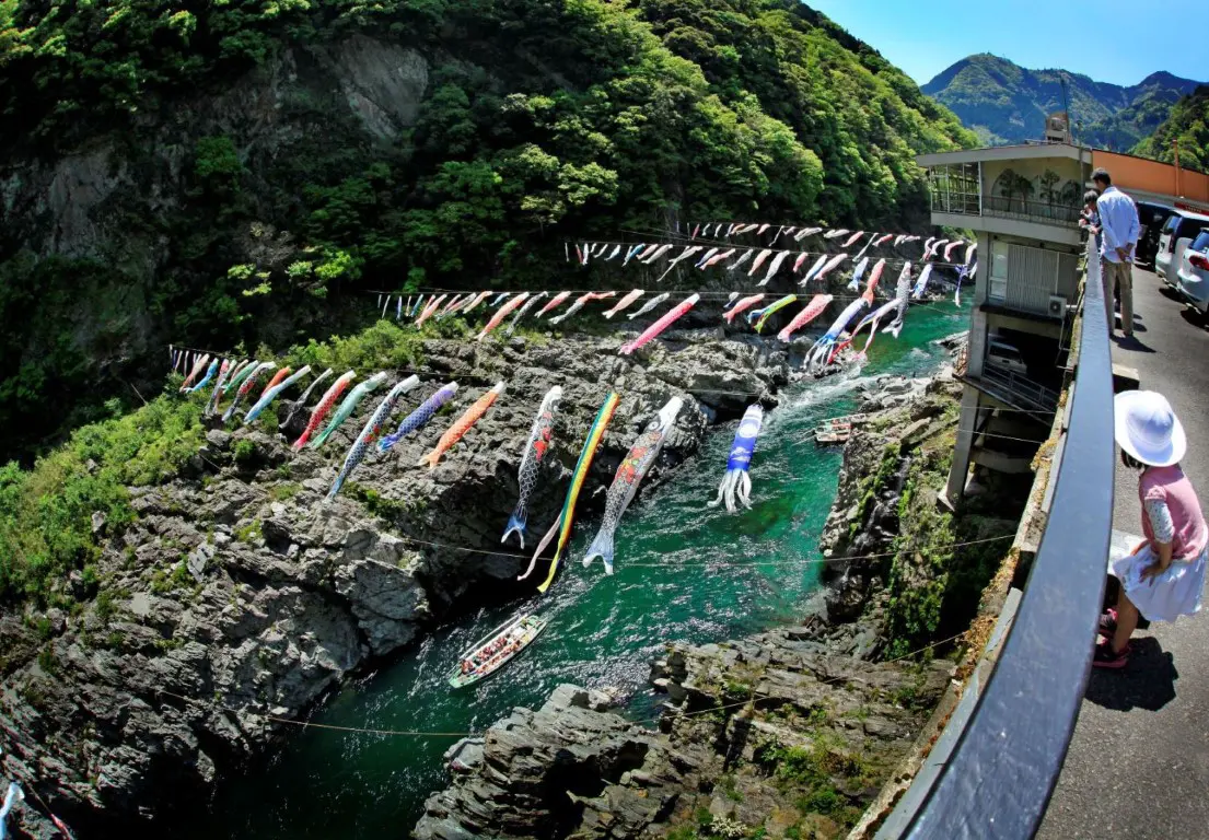大歩危峡のこいのぼり