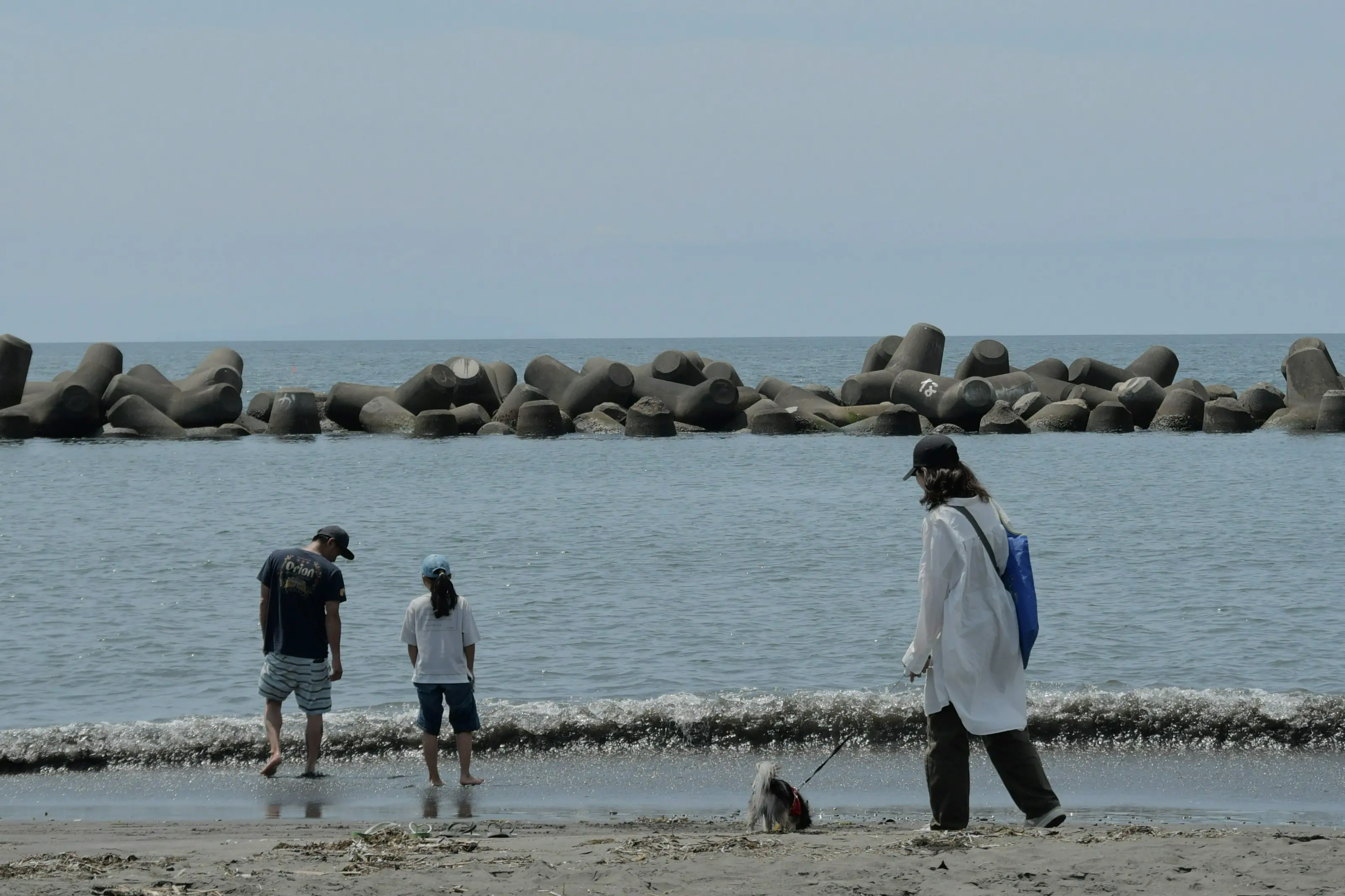 海辺の街のくらし-2