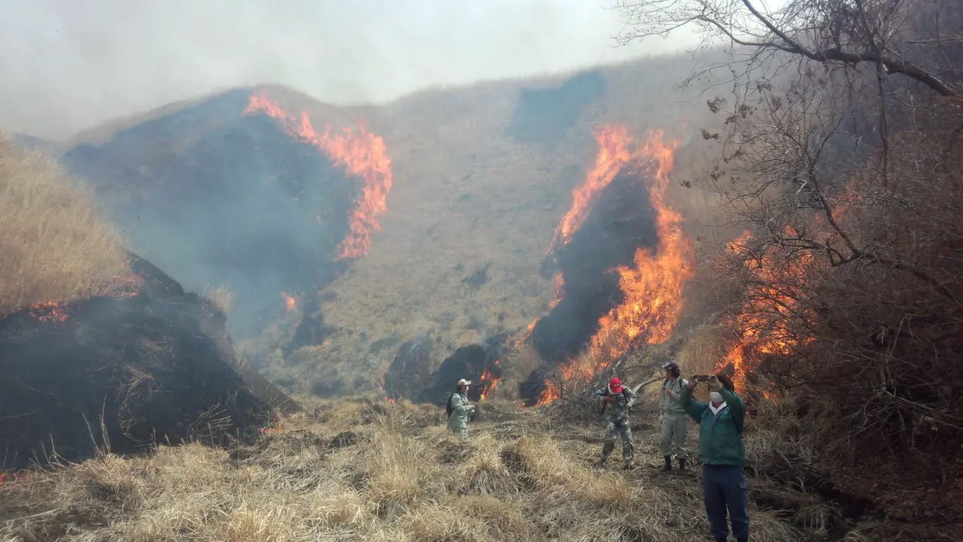 阿蘇の野焼き