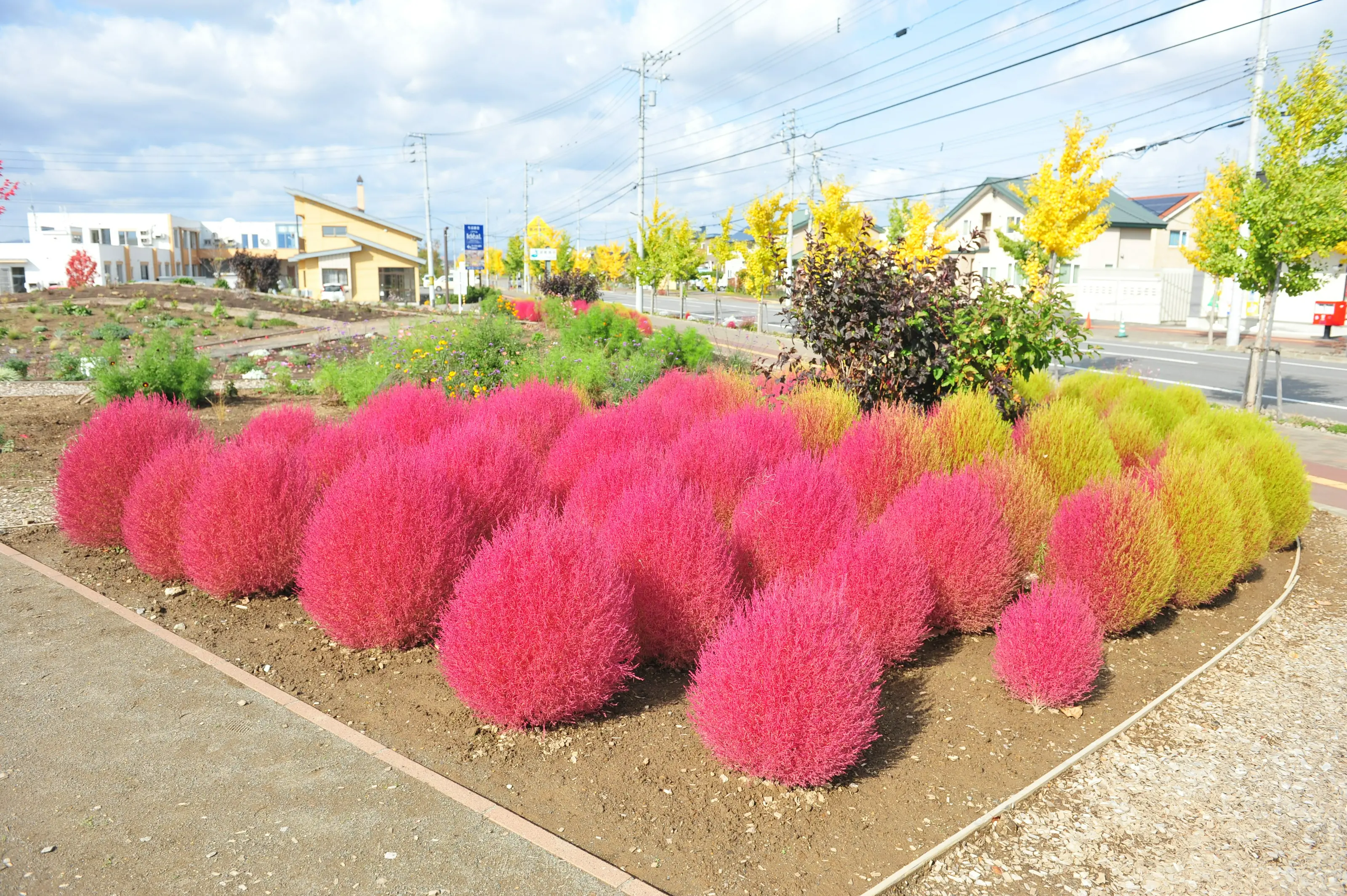 ひじり野西公園
