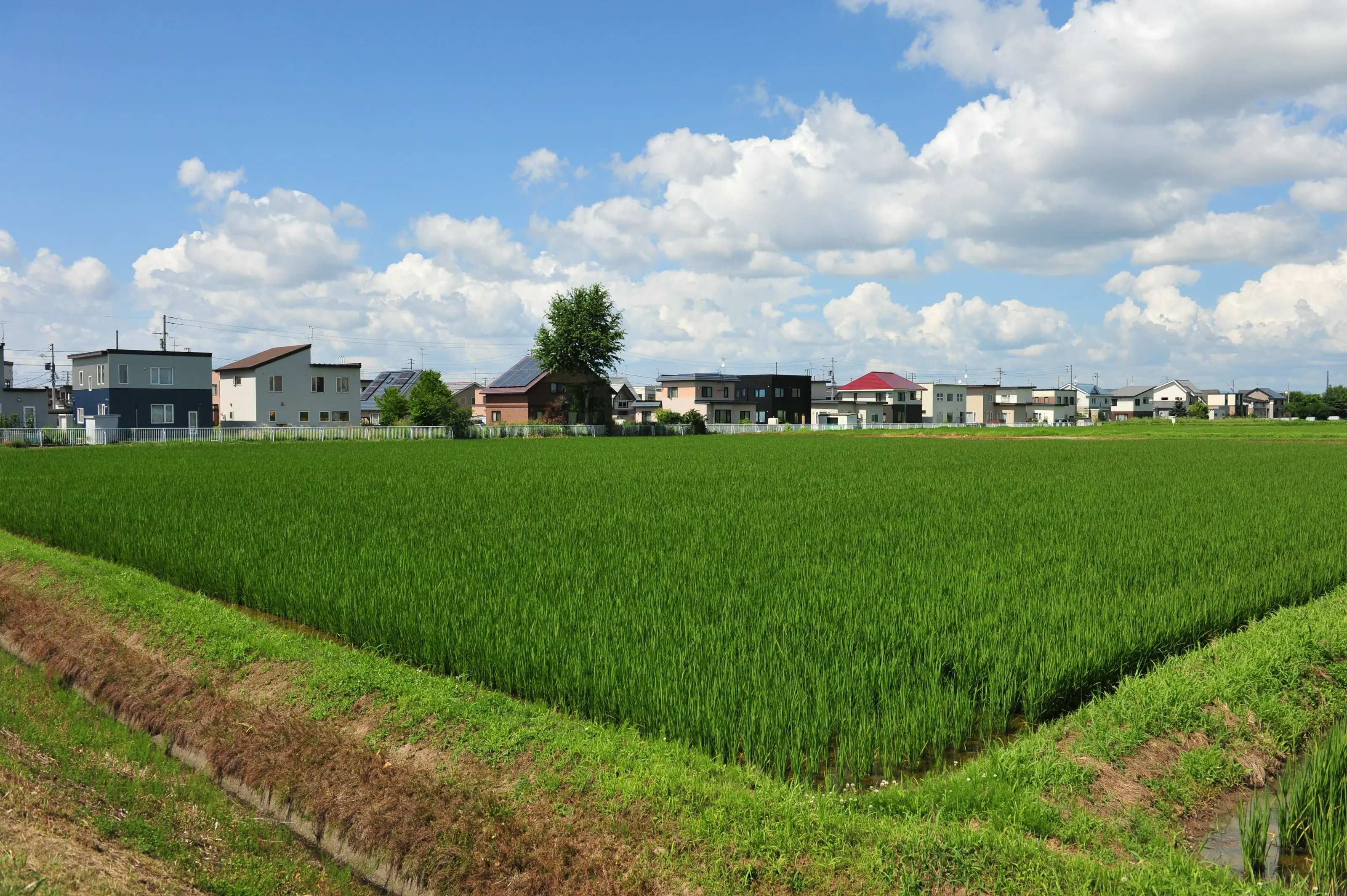 水田とひじり野住宅街