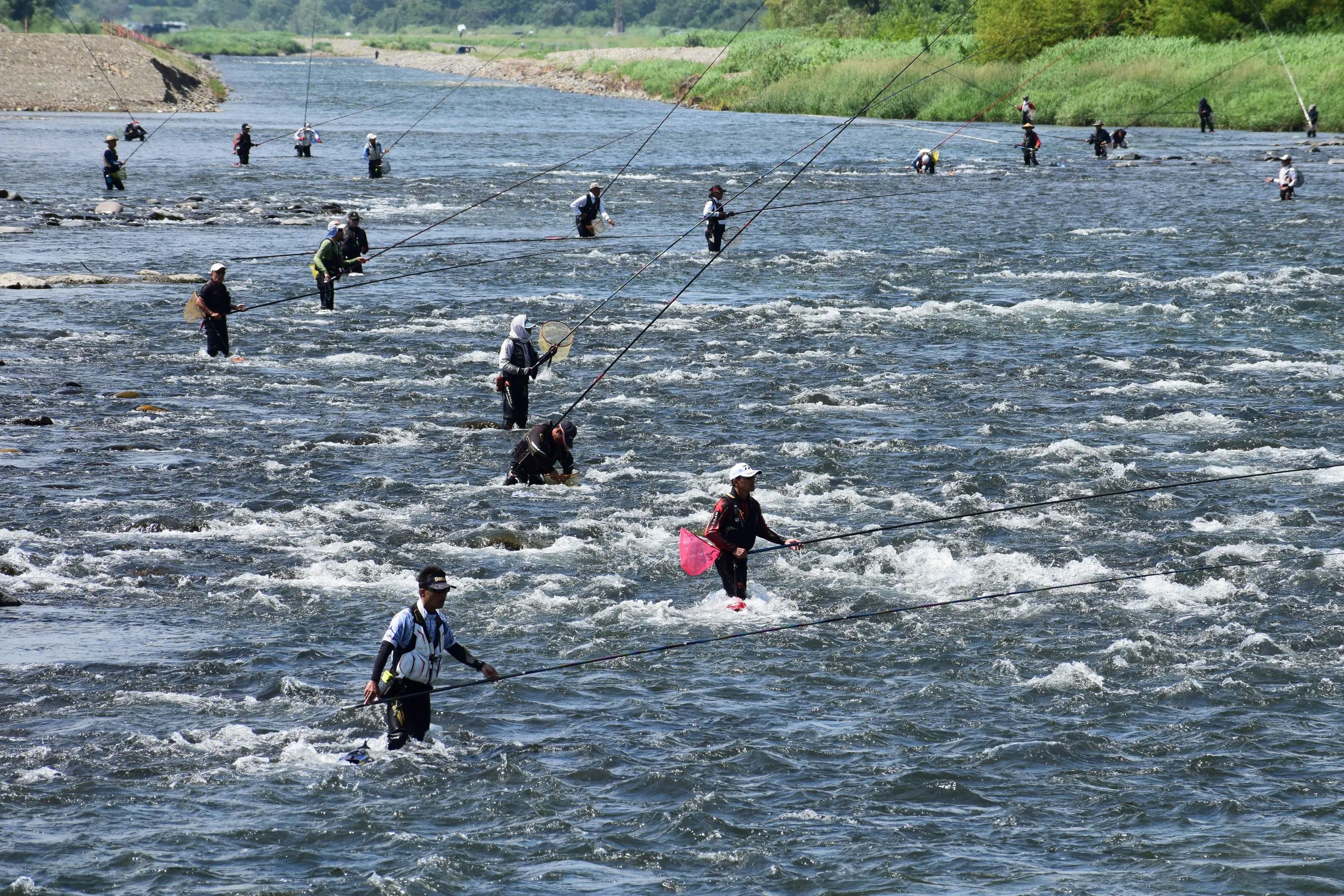 那珂川 アユ釣り